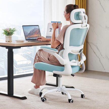 Ergonomic Chairs